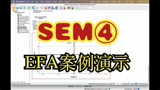 英硕留学生必看的EFA案例演示_SEM结构方程模型EFA净化题项案例