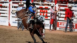 Calgary Stampede Rodeo: Showdown Sunday