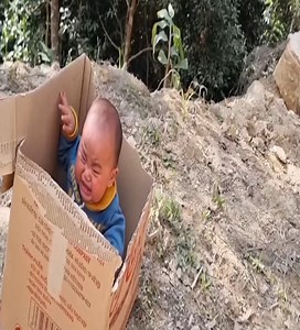 76K views · 1.2K reactions | Very poor  #crazymom #harvesting #solobushcraft #campinglife #crazy #poorbaby | Chef Juka | Facebook