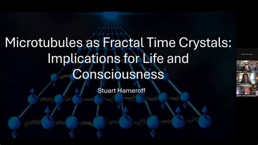 Microtubules as Fractal Time Crystals: implications for life and consciousness by Stuart Hameroff | Joseph Jacks