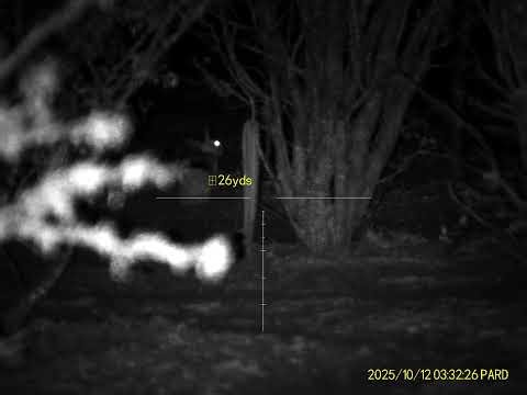 PARD nv008sp2 lrf difisil de retirar