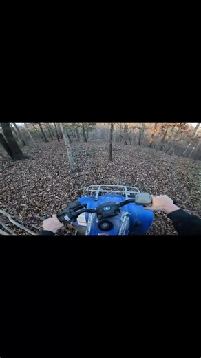 Riding trails on four wheelers #fourwheeling #quads #fast #atv #trailriding
