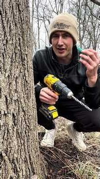 TAP THAT | TAP ANY TREE FOR SYRUP #woodscraft
