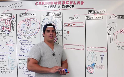 Ninja Nerd-Types of Shock | Septic, Anaphylactic, & Neurogenic Shock