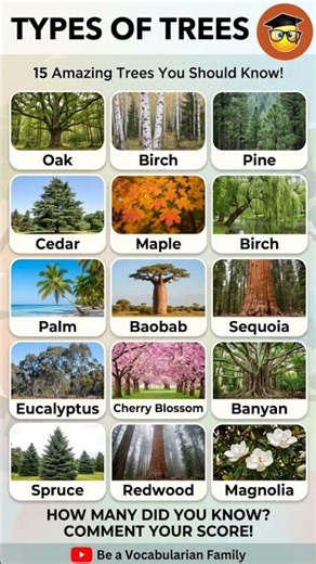 15 Types of Trees You Should Know! 🌳 | Tree Names & Facts #shorts
