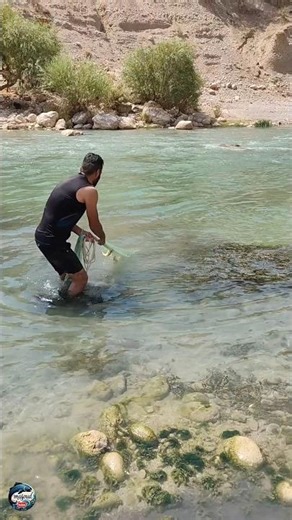 “NEW RECORD! 🤯 Most Fish EVER Caught in ONE Cast Net Throw!