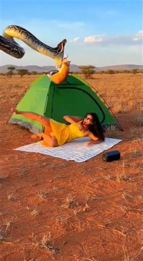 Giant Python Attacks Sleeping Woman 😱 | Cat Saves the Day 🐱🐍 #giantpython #funnyshorts #snakeattack