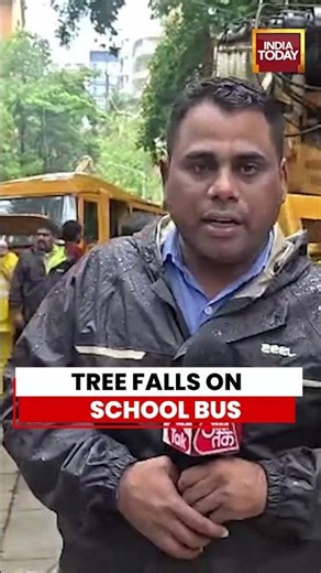 Breaking News: Tree Crushes School Bus in Mumbai | Child Dies, Several Injured #mumbai #chembur #bus