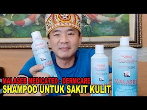 SHAMPOO PENGOBATAN SAKIT KULIT UNTUK ANJING KUCING