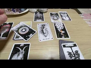 小室圭さんを占った