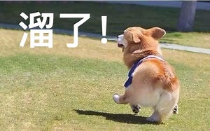 搬运丨给初级跑者的五公里训练技巧