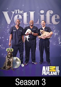 The Vet Life: Award Winning Docs