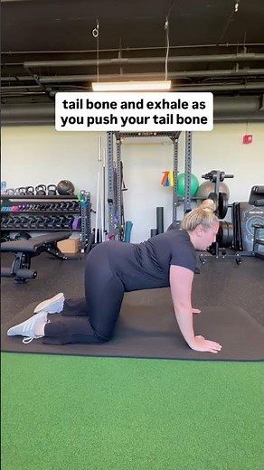Cat Cow with Breath Work | Spine Mobility & Pelvic Floor Coordination