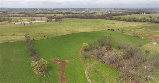 Efforts underway to protect Kentucky farmland through new bill