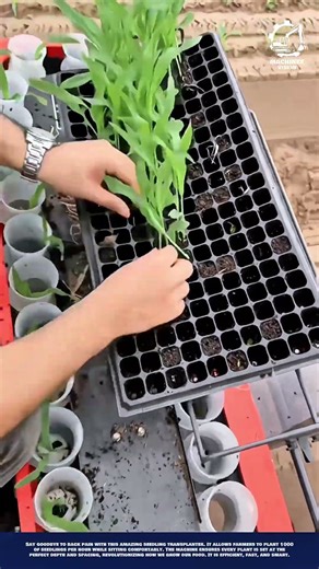 Seedling Planting Machine Innovation for Fast Farming