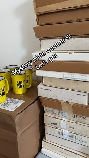 Mystery plate #5! Finding beauty in a barn plate. #craft #recycledchina #vintagechina #processvideo #brokenplate #barn #art #craftersoftiktok #artistoftiktok #baltimore ibreakplates.com