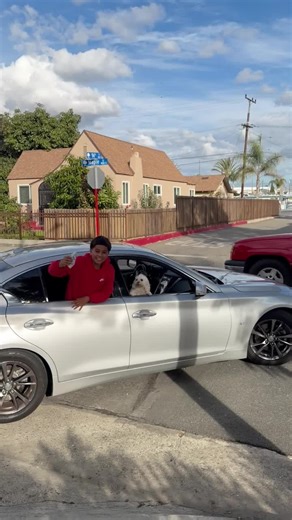 Exploring the Infiniti Q50: A Comprehensive Review