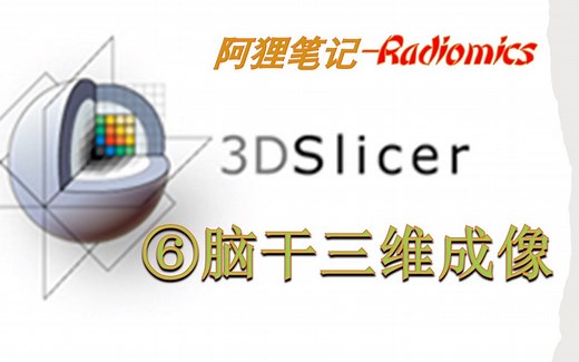 3D Slicer-脑干三维成像