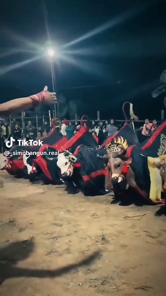 Exploring Lelo Lelo Ledung and Bantengan Traditions