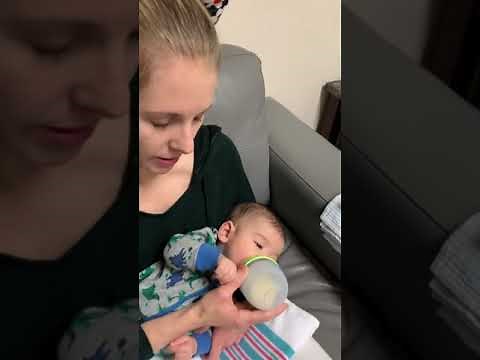Introducing bottle feeding to a 4 month old