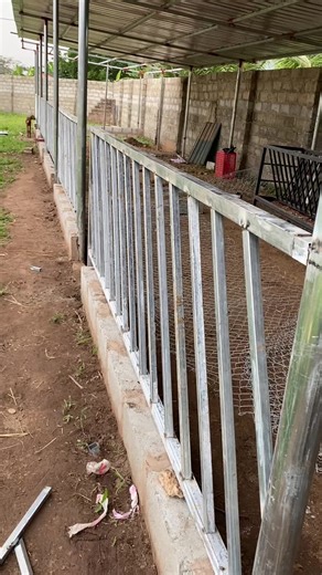 Building a Goat Pen: Tips and Ideas