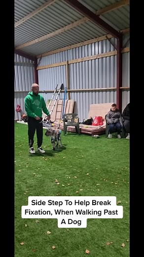 Side Step Technique for Dog Training