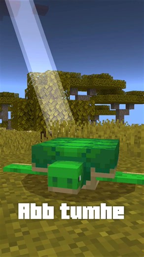 1 in 10 BILLION Minecraft Myth...