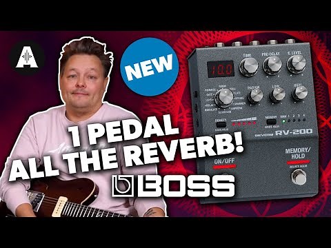 Boss RV-200 - A Powerful Palette of Reverbs!