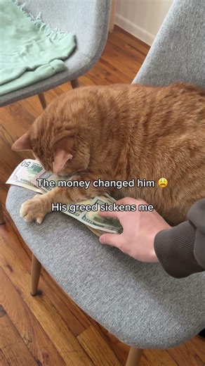 Dio switching up on his day one