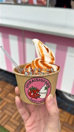 Newly opened! Divine Tomato Soft Serve! #HokutoCityGourmet #HokutoCitySweets #HokutoCityTakeout #...