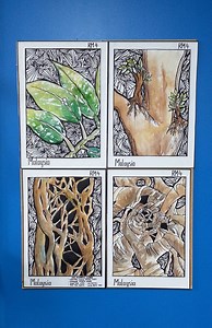 Pop-Up Presentation Boards