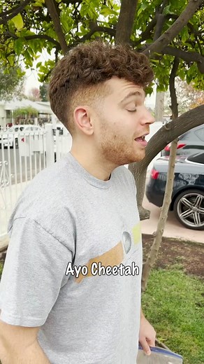 Delicious Chicken Wings Recipe by Ayo Cheetah