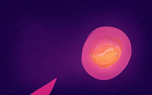 How can you tell the difference between rice flour and cornstarch? [2025] | QAQooking.wiki