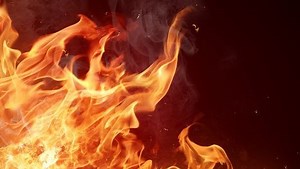 Pigs killed in devastating New Berlin barn fire