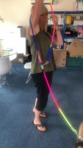 Hands free dog lead #mummymandy #review #dog #dogsoftiktok