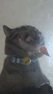 SATISFYING Cat ASMR | Eating Chicken on Glass Table (Underneath View)