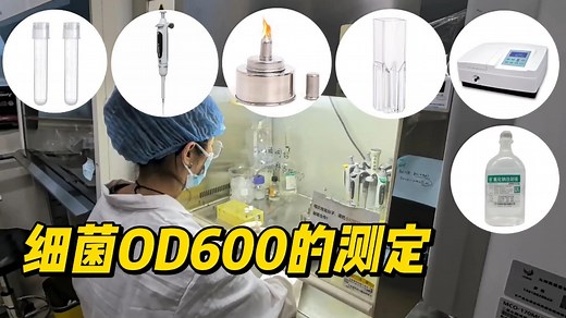 1.细菌OD600的测定