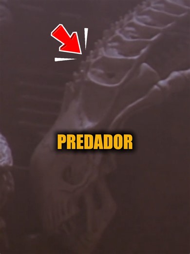 Alien vs. Predador é Canônico? A Verdade Explicada! Descubra se o lendário crossover Alien vs. Predador é realmente canônico nas franquias oficiais! Apesar de ter nascido de um easter egg em Predador 2, o diretor Ridley Scott ignorou os eventos de AvP em Prometheus e Alien: Covenant. Porém, para os Yautjas na franquia Predador, esses filmes fazem parte da história oficial de caça na Terra!#yautja #predador #yautjaedit #Xenomorfo