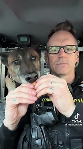 2.1M views · 128K reactions | Lol | The Blue Voice | Facebook