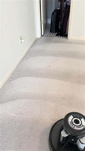 At Citrusolution, we love cleaning white carpet. It does not scare us.