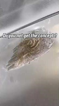 RV Hail Damage Repair