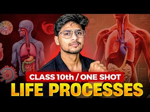 Life Processes Class 10 Science One Shot 🔥 | #class10 #cbse
