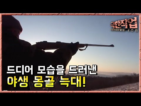 극한직업(Extreme JOB) 몽골늑대 사냥꾼 제2부
