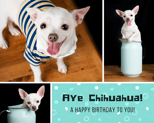 Design Your Own Birthday Photo Collage - Canva