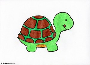 Coloring TURTLE Coloring Page