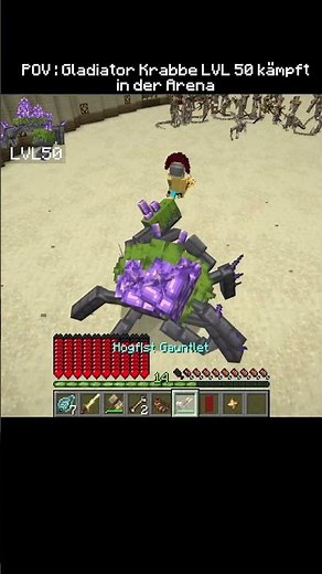 LVL 50 Gladiator Kampf 🦀 #minecraft #minecraftmod