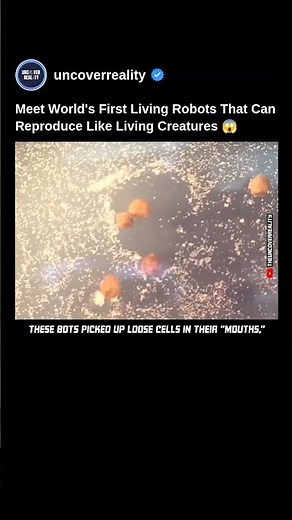 Meet World's First Living Robots That Can Reproduce Like Living Creatures. Know How #robot #shorts