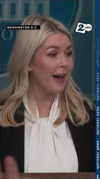 Leavitt defends Trump, clashes with CNN's Collins over Iran press coverage