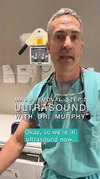 Splenectomy Part 2 - Abdominal Ultrasound