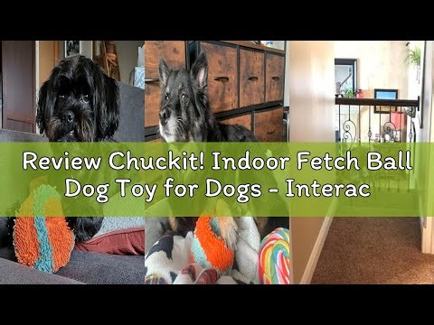 Review Chuckit! Indoor Fetch Ball Dog Toy for Dogs - Interactive Dog Toys for Boredom, 4.75 Inch, Or